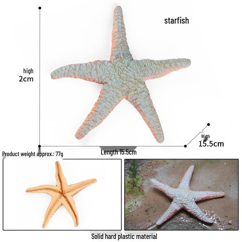 Pediatric Marine Education Starfish Simulation Toy and Beach Tank Decor