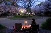 CAMPING MOON Gas Lantern Extension Pole Rod Lantern Extension Pole Pro. Z26