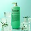 [NEW] Healing Bird Tea Tree PDRN Cooling Shampoo 1000ml