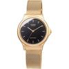 Casio Unisex Analog Watch Black Gold Mq 24mg 1e