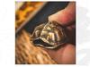 Brass Retro Distressed Tortoiseshell Sancai Handheld Zhouyi Bagua Stress Relief Play Piece