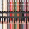 PANDAFLY Professional Charcoal Pencil Drawing Skin Tone Colored Colored Charcoal Pastel Chalk Pencils for Layering 12 Colors Set, Pencils, Pencils,