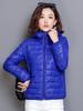 2023 New Women's Hooded Lightweight Down Cotton Coat - Korean-Style Loose Short Coat