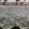Romantic Embroidered French Lace Tablecloth Organza Vintage Table Linen White Table Cover Desktop Background