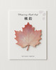 30 Sheets/pad Fallen Leaves Notes Self-stick Notes Schedule Self Adhesive Memo Pad Sticky Notes Bookmark Planner Stickers