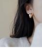 Advanced French Style Unique Earrings