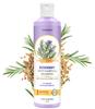 Nimson Rosemary Anti-Hair Fall Shampoo - 250ml | Enriched with Rosemary & Methi Dana | Controls Hair Fall, Breakage & Thinning | Deeply Cleanses & N