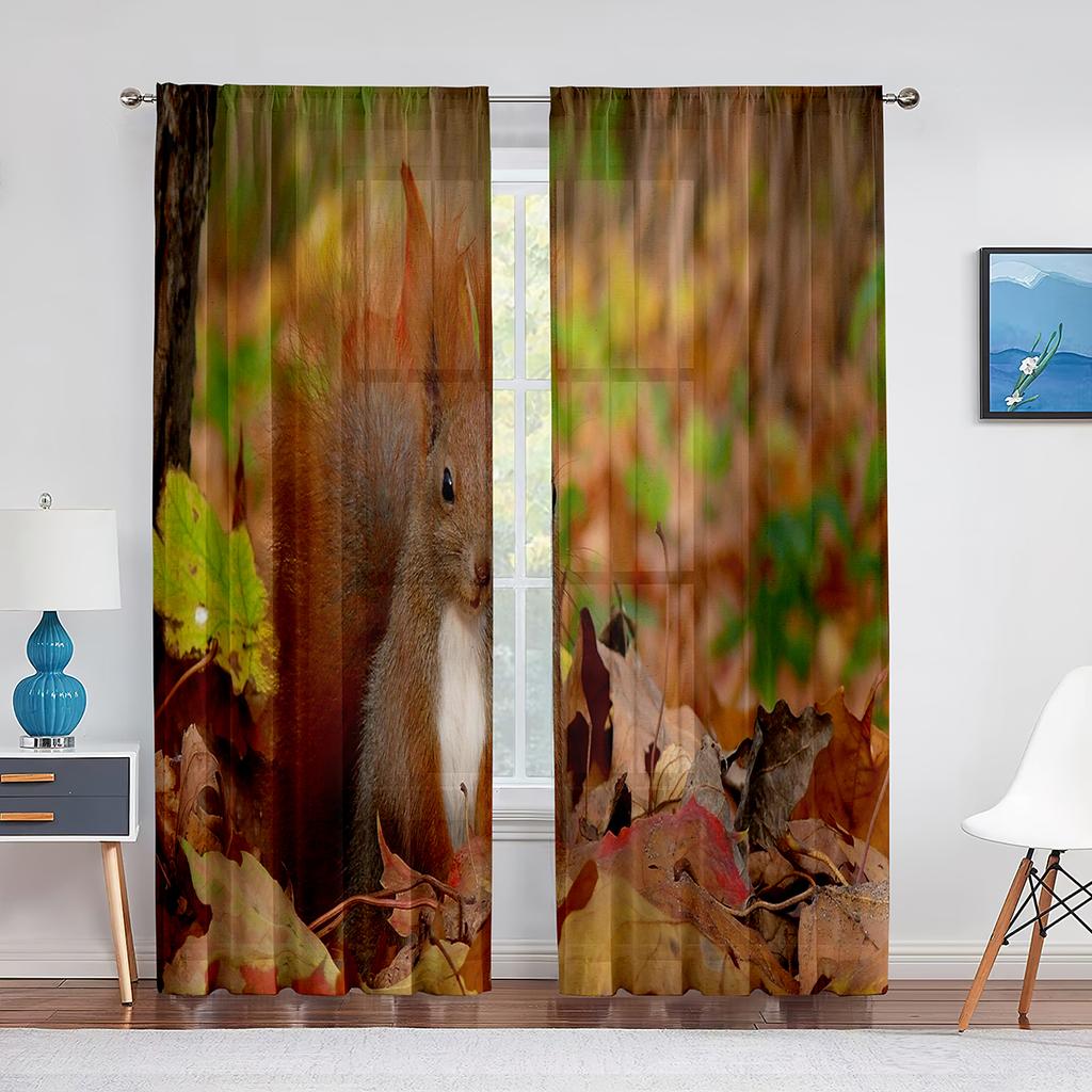 Squirrel Standing on Tree Branch Animal Sheer Voile Curtains for Living Room Modern Curtains for Kitchen Chiffon Tulle Curtain