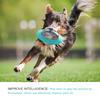 Dog Planet Interactive Toy Slow Feeder Puzzle IQ Treat Ball, Food Dispensing Chew Toys for Medium to Large Dogs