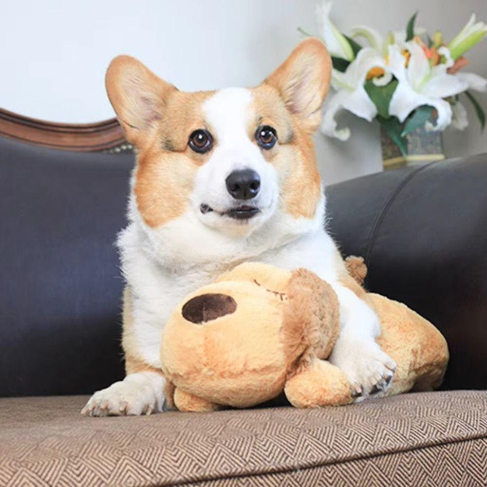 Behavioral Training Lying Dog Fidget Toy Sleep Aid Puppy Plush Doll  Birthday Gift