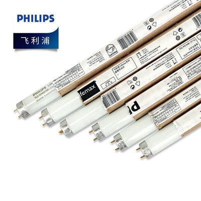 Traditional T8 Fluorescent Tube
