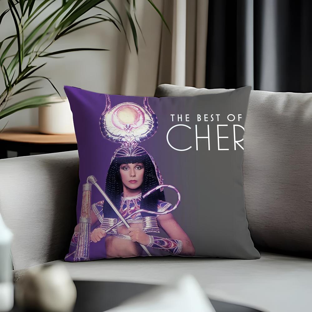 Hot CChering Cushion Cover Antidustmite Pillowcase Invisible Zipper Silky Short Plush Sofa Cushion Cover