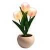 Elegant Tulip Night Light: High-End Decorative Bedside Lamp for Bedroom Ambiance