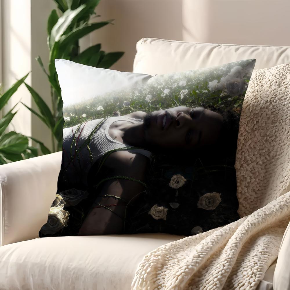 Singer DDvd Withered Cushion Cover For Pillow Printing Sofa Decoration Home Car Room Coffee Shop Office Nordic Simplicity
