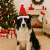 Cute Pet Santa Hat Adjustable Pet Party Hat Festive Pet Hat  Dress-up Accessory