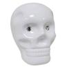 Gdesign Ceramic Skull Moneybox (White)