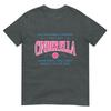 Funny Pickleball Cinderella Unisex Gift Player Joke Tshirt