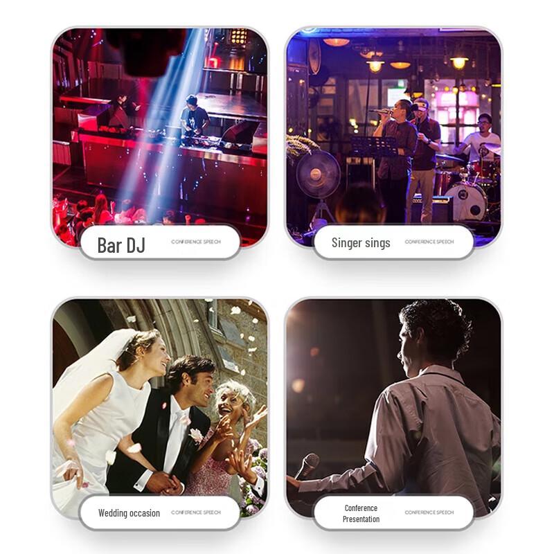 KaYouLa Professional Passive Full-Range Speaker