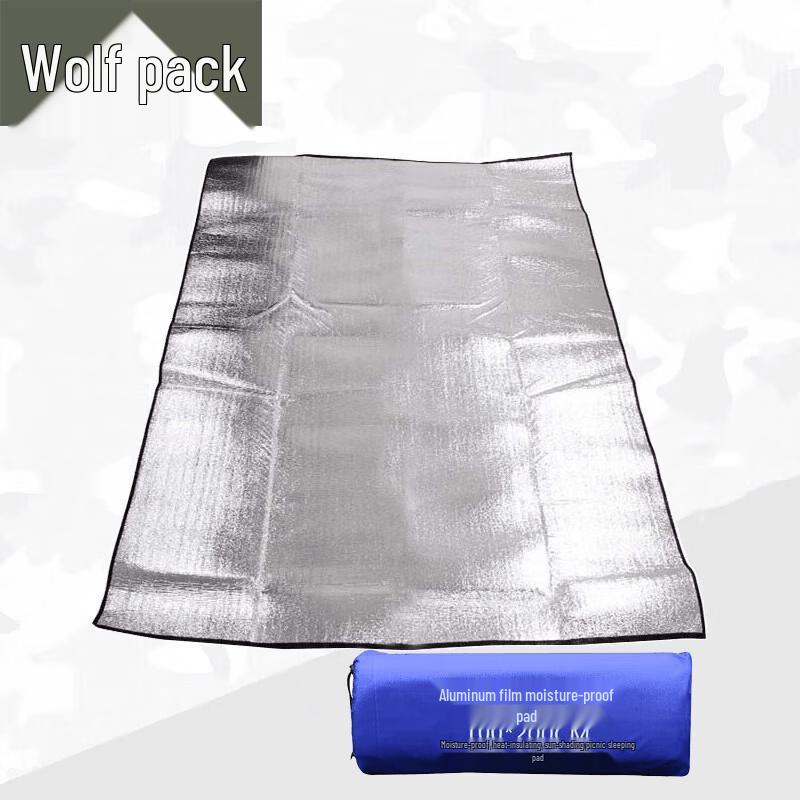 Conglang Thickened Aluminum Film Tent Mat