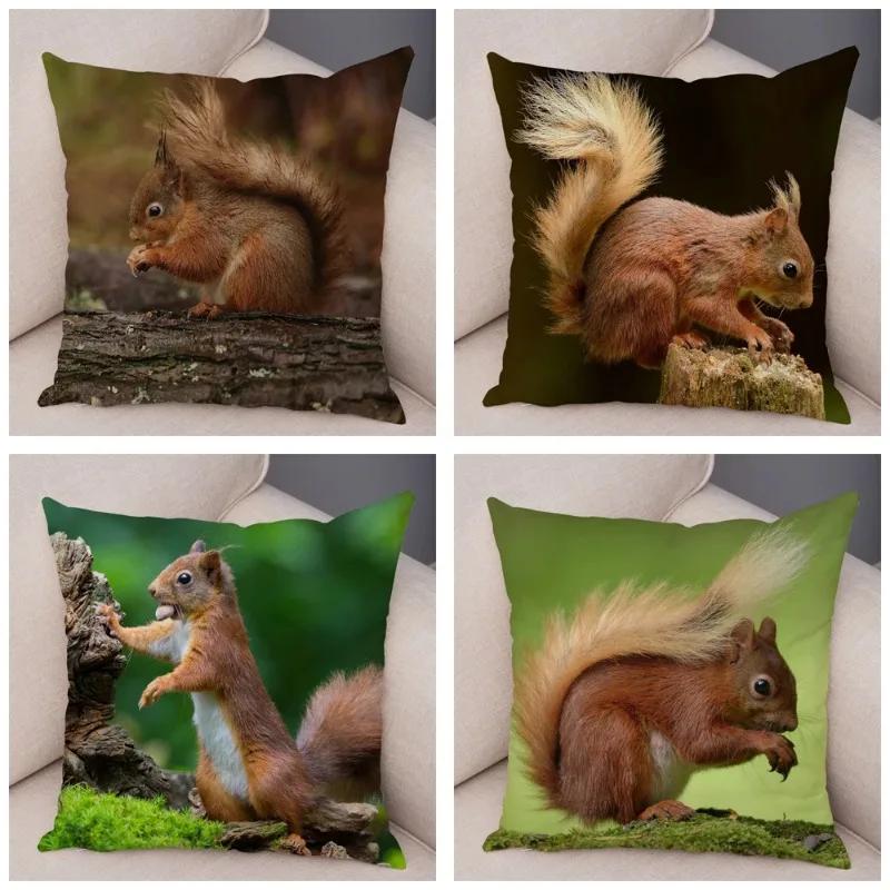 Cute Squirrel Cushion Cover Pillowcase Pillow Covers Home Decor Pet Animal Pillows Case Super Soft Polyester Pillows Covers