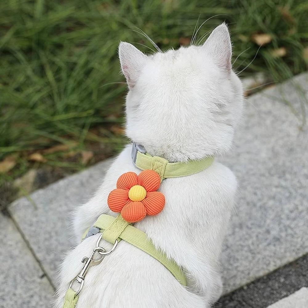 Breathable Mesh Dog Harness Set Adjustable Straps Pet Harness Cat Harness Set For Small Dogs S
