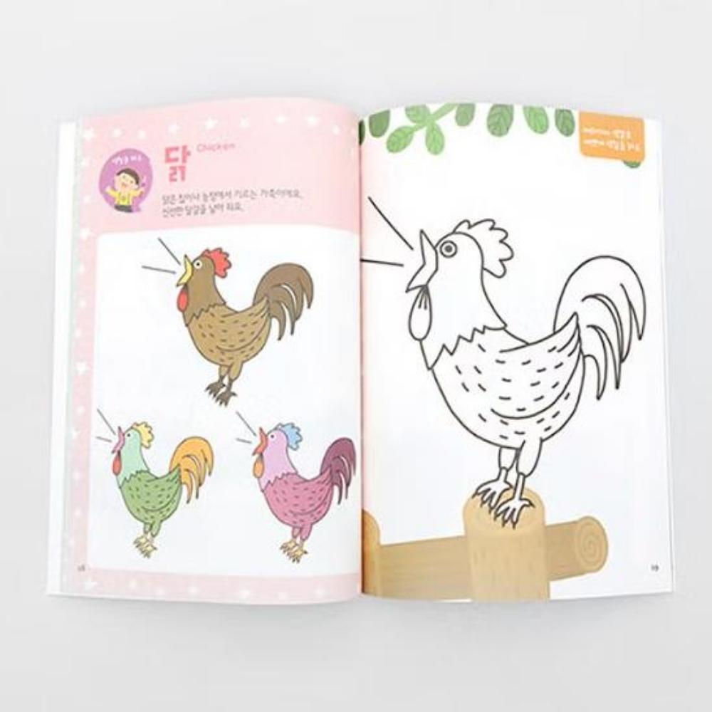 Creative Coloring Book - Animal