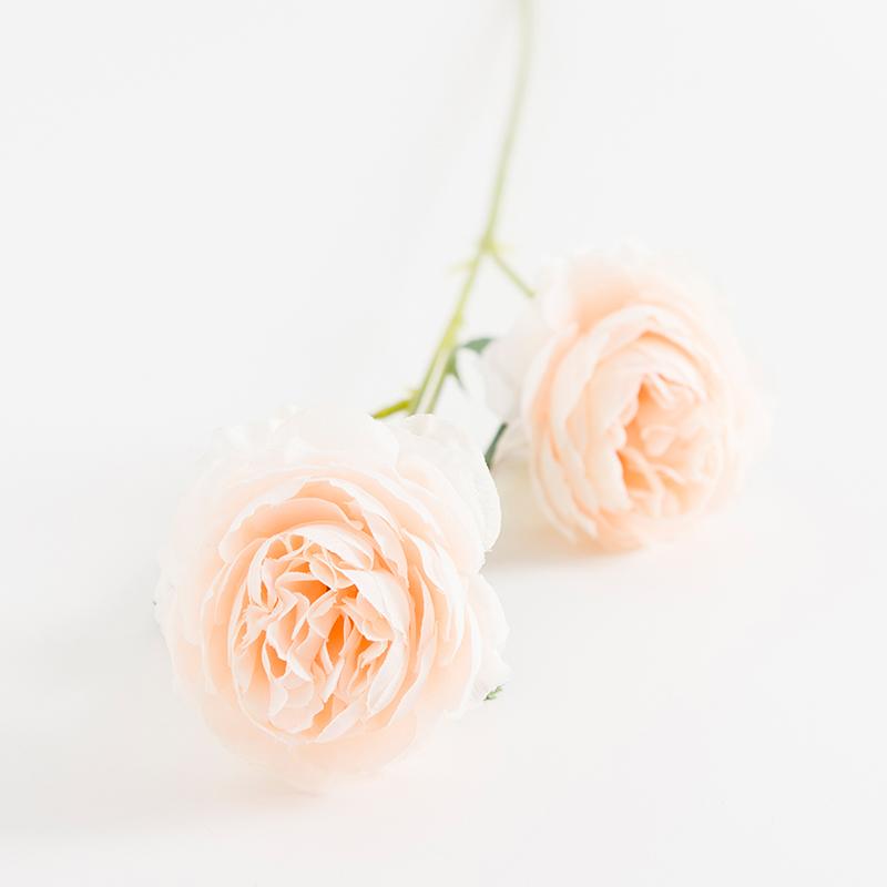 

1/5 шт. Букет искусственных роз на длинном стебле, аксессуары для украшения дома, комнатные искусственные цветы, реквизит для фото, свадебные праздничные принадлежности, сделай сам 1pieces шампанского