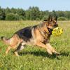 Adjustable Pet Muzzle Breathable Dog Stop Barking Mask Practical Dog Mouth Guard  Outdoor