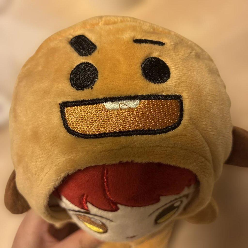 [USED] BTS SUGA Plush Dress-Up