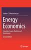 Kniha Energy Economics : Concepts, Issues, Markets and Governance