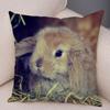 Sofa Car Home Decor Cute Rabbit Cushion Cover Bedroom Living Room Pillowcase Pet Animal Pillowcase