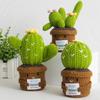 Mini Finished Crochet Cactus Potted Emotional Support Stuffed Plants Home Decor  Mother Valentine Christmas Gifts