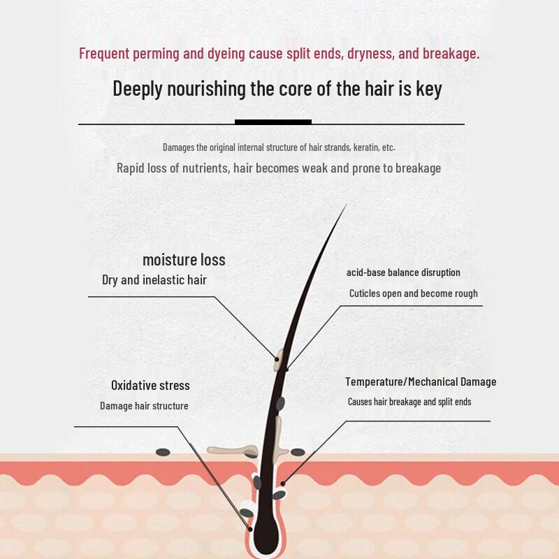 Di'e Yin Anti-Breakage Keratin Shampoo