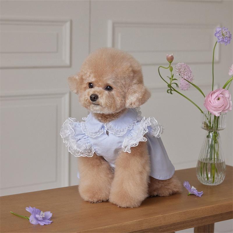 Pet Spring Lace Flying Sleeve Lady Dress Teddy Collar Dress Dog Clothes for Small Dogs T-shirt Puppy Clothes