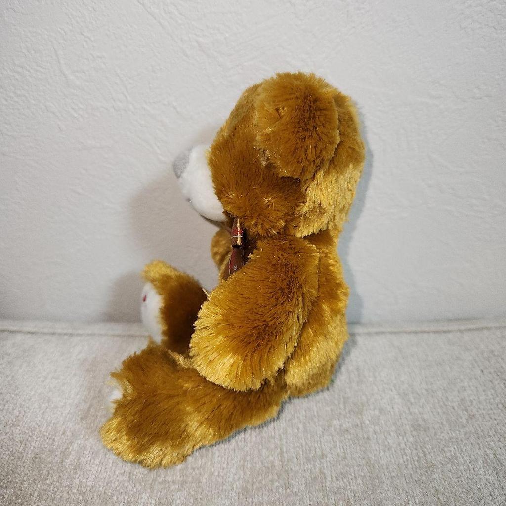 [USED] Kanz Teddy Bear