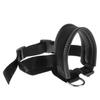 Pet Dog Muzzle with Comfortable Padded Buckle Lock Training Muzzle Adjustable