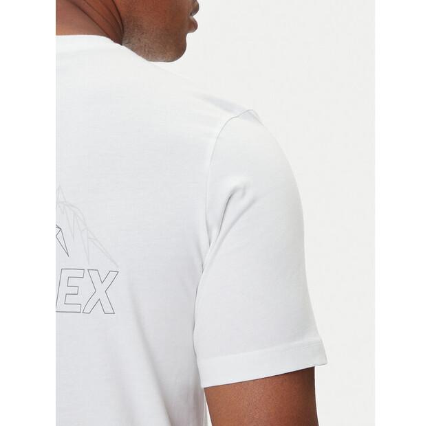 Футболка adidas Terrex Graphic