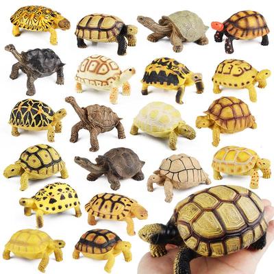 Kids' Solid Turtle Animal Model: Tortoise, Elephant Tortoise, Sea Turtle, Star Tortoise - Educational Gift