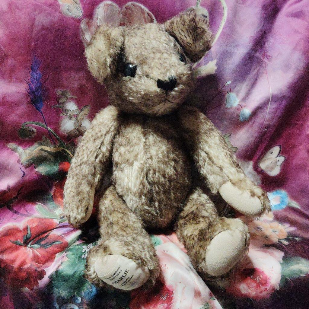 [USED] Terumi Yoshikawa Teddy Bear Charlie