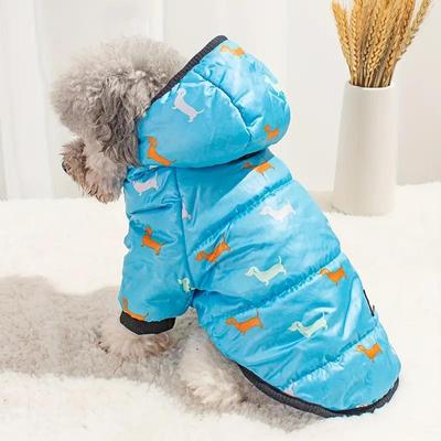 Ropa y calzado – Abrigos y chaquetas para perro