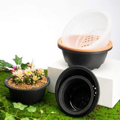 2 Stück Sukkulententopf, bruchsicherer, atmungsaktiver Kunststoff, ausgehöhlter Bonsai-Topf für Zuhause