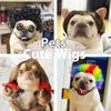 Halloween Weihnachten Haustier Perücke für Hunde Katzen Lockige Pony Afro Haare Party Kostüm Zubehör Hunde Zubehör Haustiere Acessorios