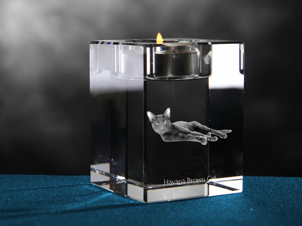 Havana Brown – Candle holder with cat photo, crystal tealight holder | Art-Dog