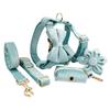 Lake Green Velvet Dog Collar & Leash Set with Bow & Flower Ornaments