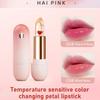 Lippenbalsam Lippe Speziell Entwickelt Für Frauen Mädchen Um Einfach Schöne Und Glatte Lippen Zu Schaffen Lippenbefeuchtend 15g