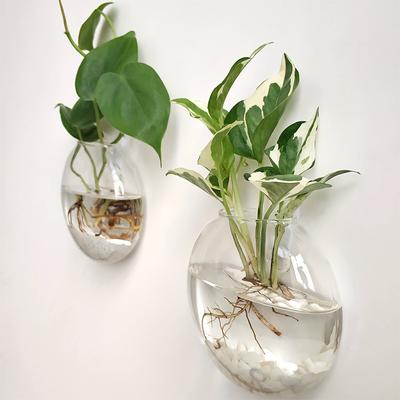Office Vase Wall Hanging Glass Wall Decoration Hydroponics Semi-Circular