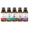 30ml Aromatherapy Essential Oil for Massage, Gua Sha, Foot Bath, SPA, and Beauty Salon Treatments