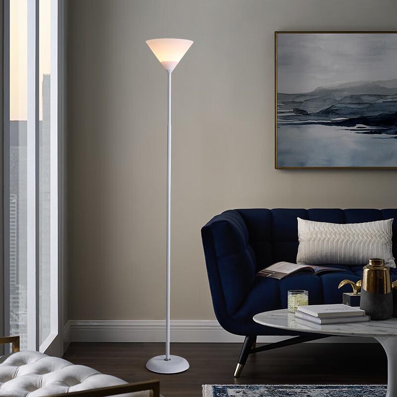 OEING Modern Simple Indoor Floor Lamp