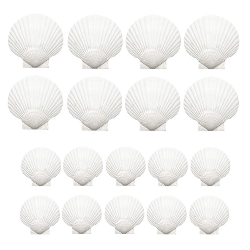 

M-Modern-18PCS Natural Scallop Shells White Seashells Bulk For Crafts DIY Painting Baking For Baking Shells, Crafts DIY Painting білий