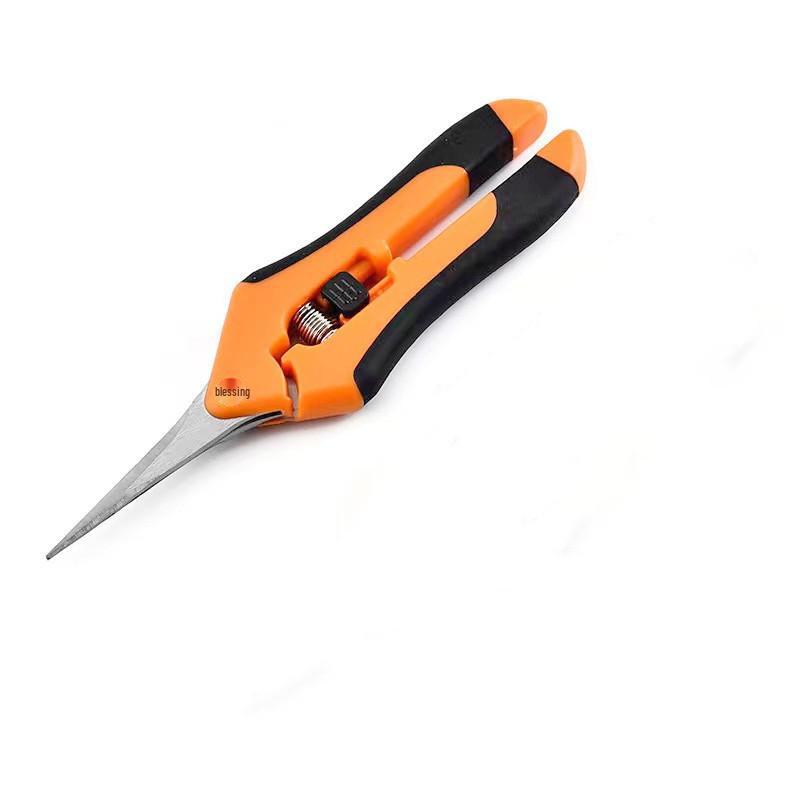 Stainless Steel Tilted Head Fruit Thinning and Pruning Shears